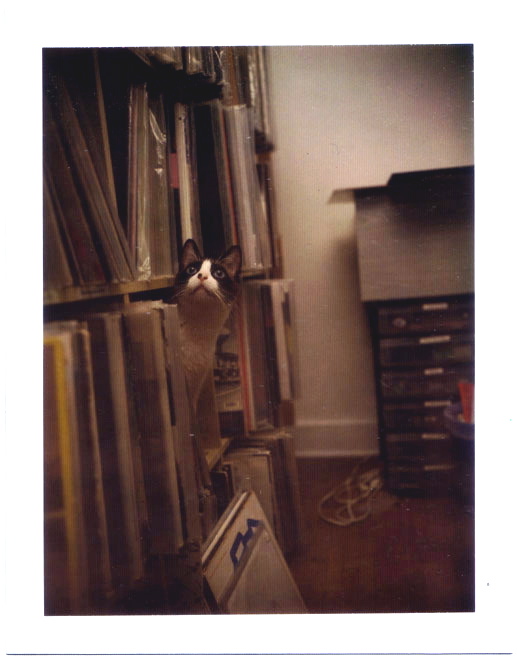 fuzzyrecs